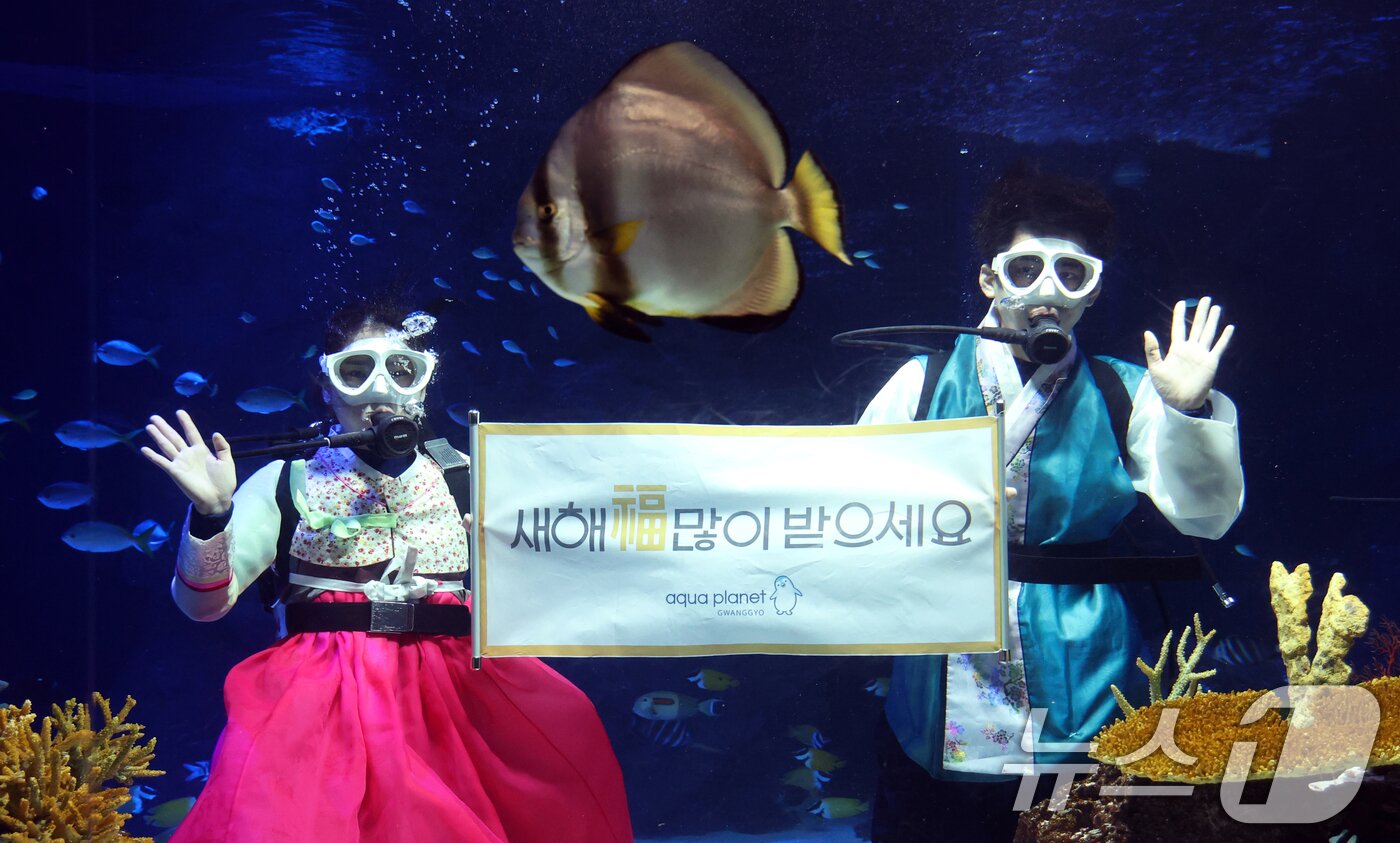 본문 이미지 - 설 명절을 앞둔 11일 경기 수원시 영통구 아쿠아플라넷 광교에서 한복을 입은 아쿠아리스트들이 설 명절 인사를 하고 있다. 2026.2.11 ⓒ 뉴스1 김영운 기자