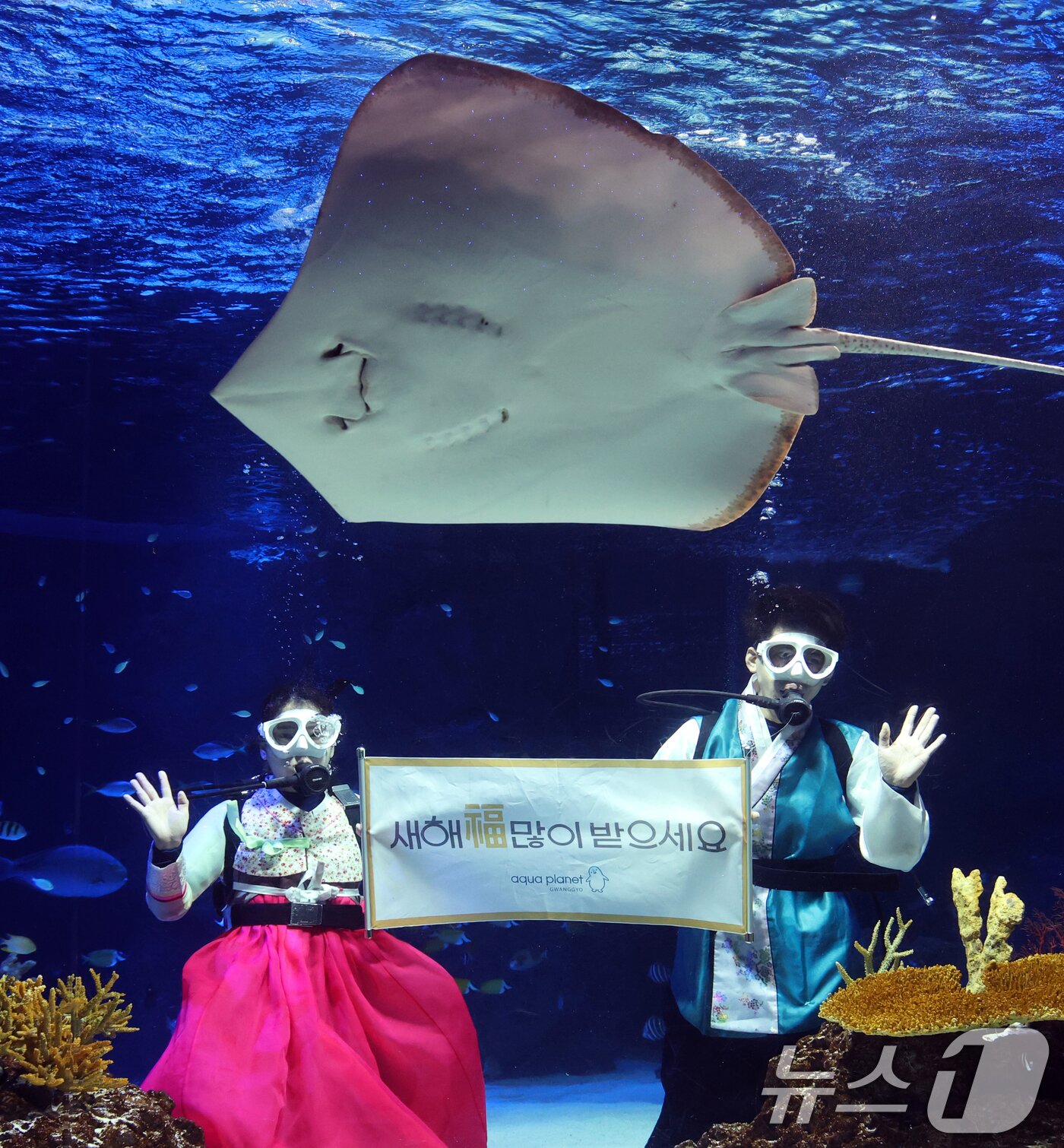 본문 이미지 - 설 명절을 앞둔 11일 경기 수원시 영통구 아쿠아플라넷 광교에서 한복을 입은 아쿠아리스트들이 설 명절 인사를 하고 있다. 2026.2.11 ⓒ 뉴스1 김영운 기자