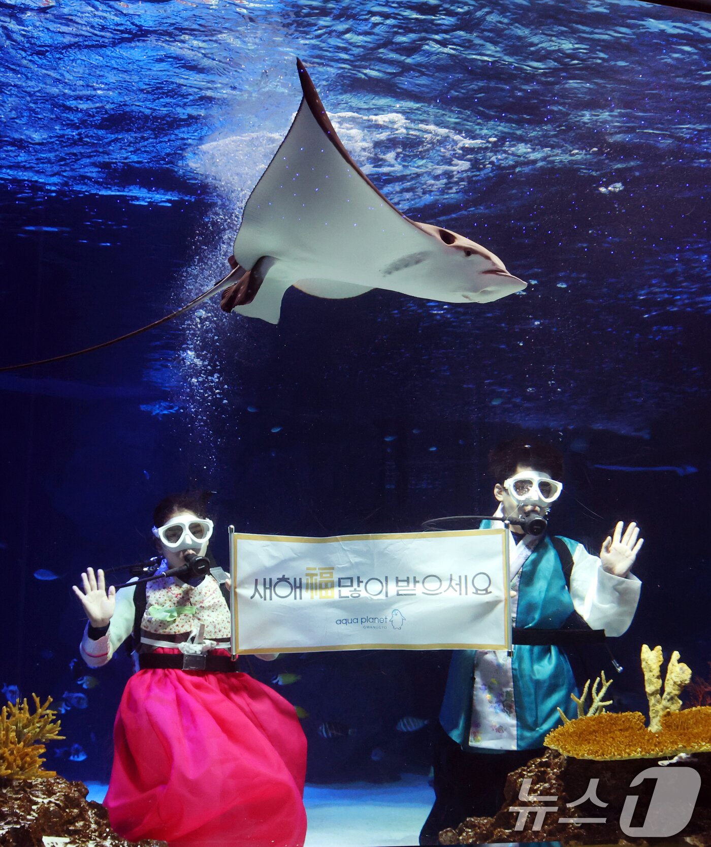 본문 이미지 - 설 명절을 앞둔 11일 경기 수원시 영통구 아쿠아플라넷 광교에서 한복을 입은 아쿠아리스트들이 설 명절 인사를 하고 있다. 2026.2.11 ⓒ 뉴스1 김영운 기자