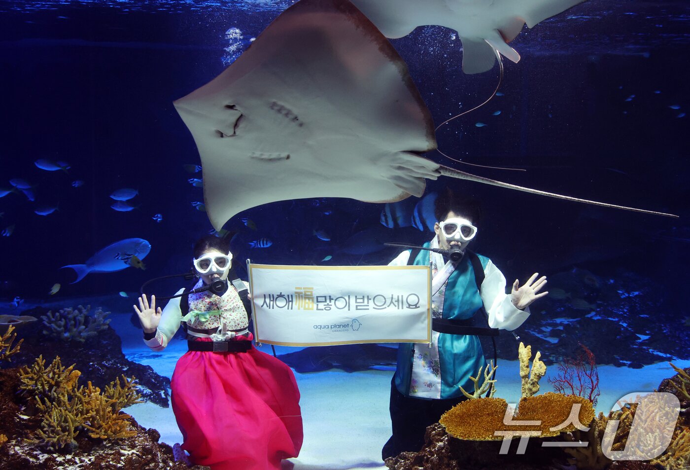 본문 이미지 - 설 명절을 앞둔 11일 경기 수원시 영통구 아쿠아플라넷 광교에서 한복을 입은 아쿠아리스트들이 설 명절 인사를 하고 있다. 2026.2.11 ⓒ 뉴스1 김영운 기자