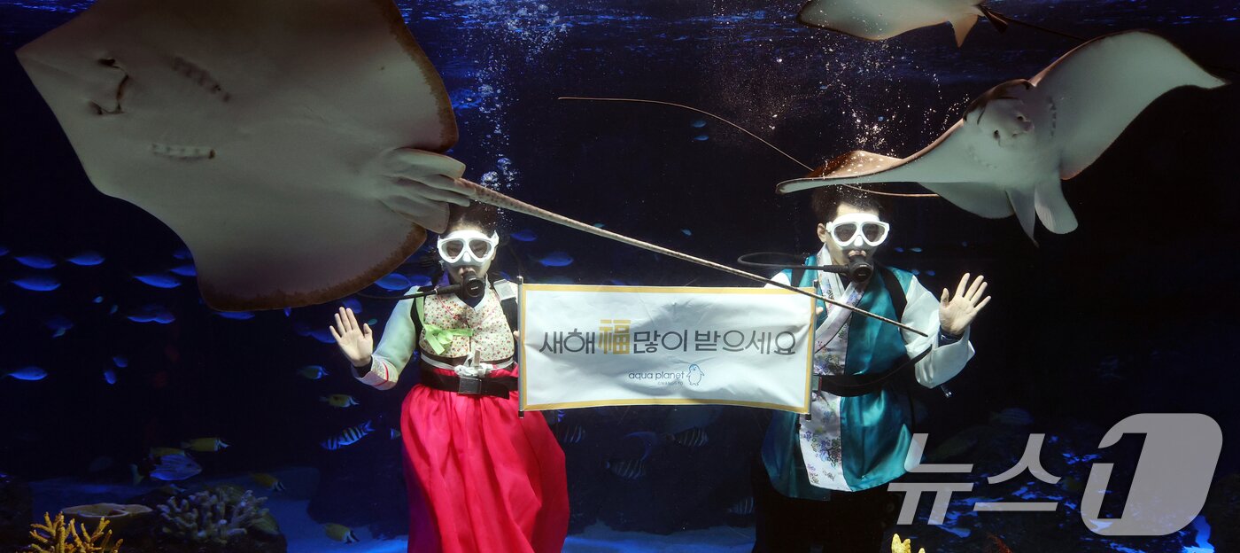 본문 이미지 - 설 명절을 앞둔 11일 경기 수원시 영통구 아쿠아플라넷 광교에서 한복을 입은 아쿠아리스트들이 설 명절 인사를 하고 있다. 2026.2.11 ⓒ 뉴스1 김영운 기자