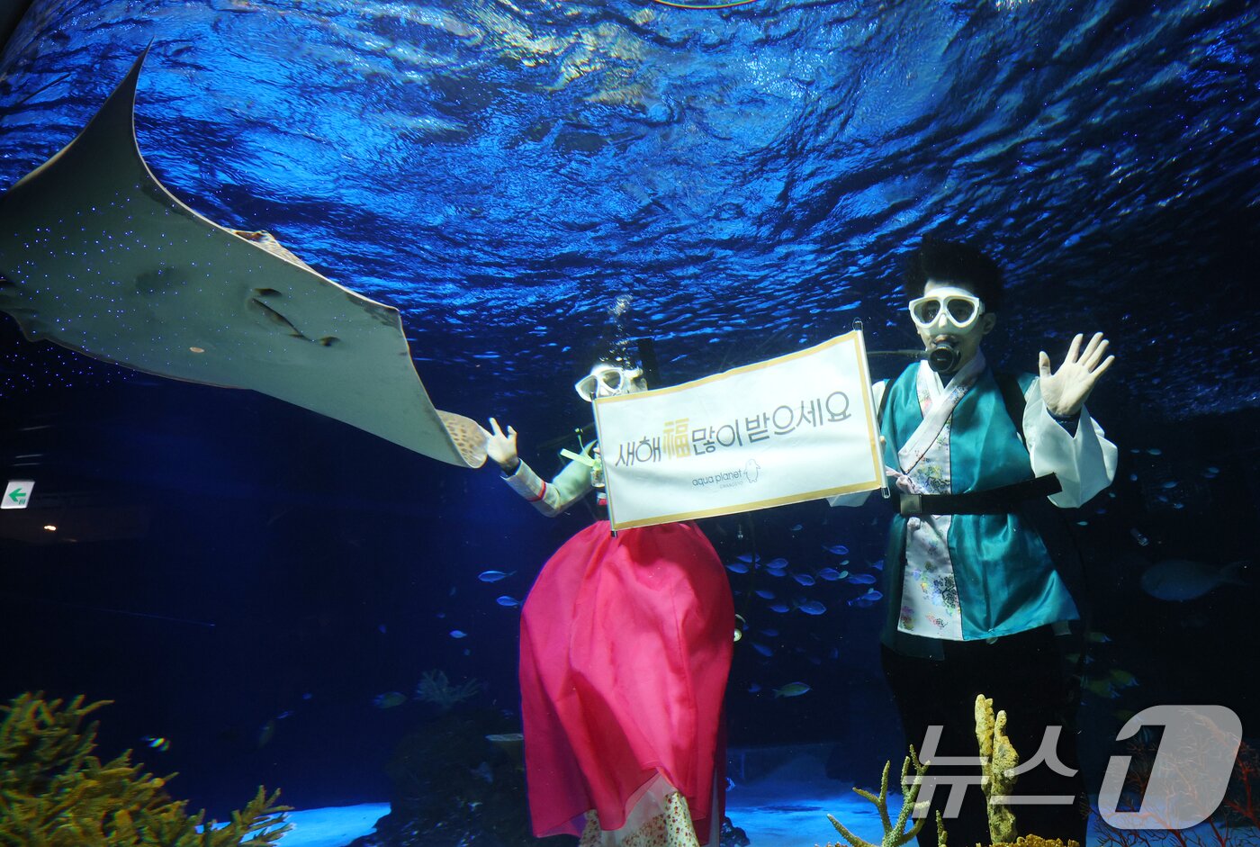 본문 이미지 - 설 명절을 앞둔 11일 경기 수원시 영통구 아쿠아플라넷 광교에서 한복을 입은 아쿠아리스트들이 설 명절 인사를 하고 있다. 2026.2.11 ⓒ 뉴스1 김영운 기자