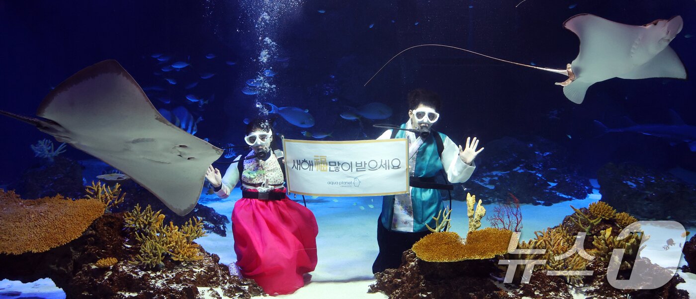 본문 이미지 - 설 명절을 앞둔 11일 경기 수원시 영통구 아쿠아플라넷 광교에서 한복을 입은 아쿠아리스트들이 설 명절 인사를 하고 있다. 2026.2.11 ⓒ 뉴스1 김영운 기자