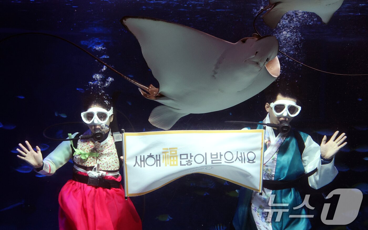본문 이미지 - 설 명절을 앞둔 11일 경기 수원시 영통구 아쿠아플라넷 광교에서 한복을 입은 아쿠아리스트들이 설 명절 인사를 하고 있다. 2026.2.11 ⓒ 뉴스1 김영운 기자