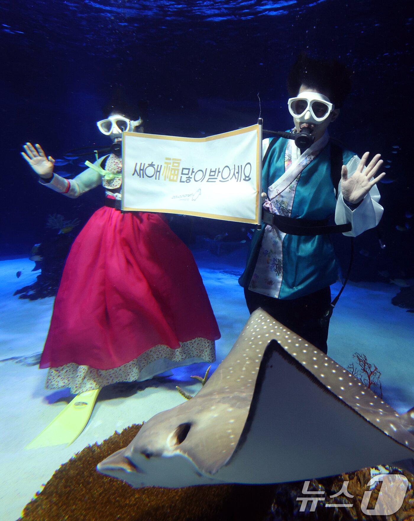 본문 이미지 - 설 명절을 앞둔 11일 경기 수원시 영통구 아쿠아플라넷 광교에서 한복을 입은 아쿠아리스트들이 설 명절 인사를 하고 있다. 2026.2.11 ⓒ 뉴스1 김영운 기자