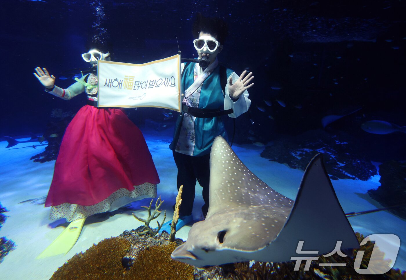 본문 이미지 - 설 명절을 앞둔 11일 경기 수원시 영통구 아쿠아플라넷 광교에서 한복을 입은 아쿠아리스트들이 설 명절 인사를 하고 있다. 2026.2.11 ⓒ 뉴스1 김영운 기자