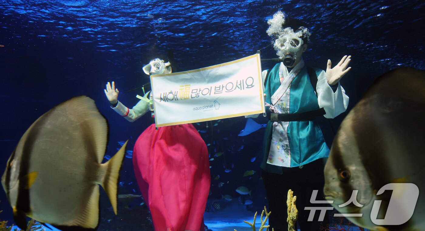 본문 이미지 - 설 명절을 앞둔 11일 경기 수원시 영통구 아쿠아플라넷 광교에서 한복을 입은 아쿠아리스트들이 설 명절 인사를 하고 있다. 2026.2.11 ⓒ 뉴스1 김영운 기자