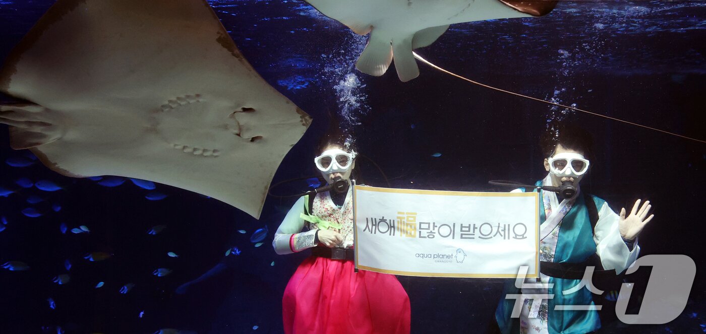 본문 이미지 - 설 명절을 앞둔 11일 경기 수원시 영통구 아쿠아플라넷 광교에서 한복을 입은 아쿠아리스트들이 설 명절 인사를 하고 있다. 2026.2.11 ⓒ 뉴스1 김영운 기자