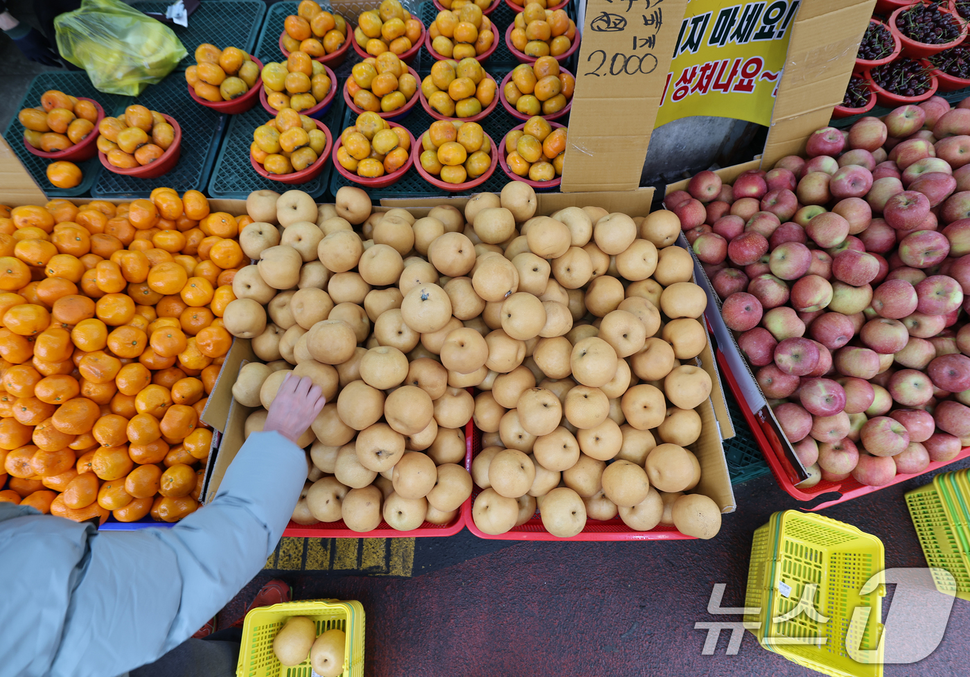 (서울=뉴스1) 오대일 기자 = 설 차례상 비용이 전년 대비 4% 이상 오르면서 명절 체감 물가 부담이 커지는 가운데 11일 서울 마포구 망원시장에서 시민들이 제수용품을 구매하고 …