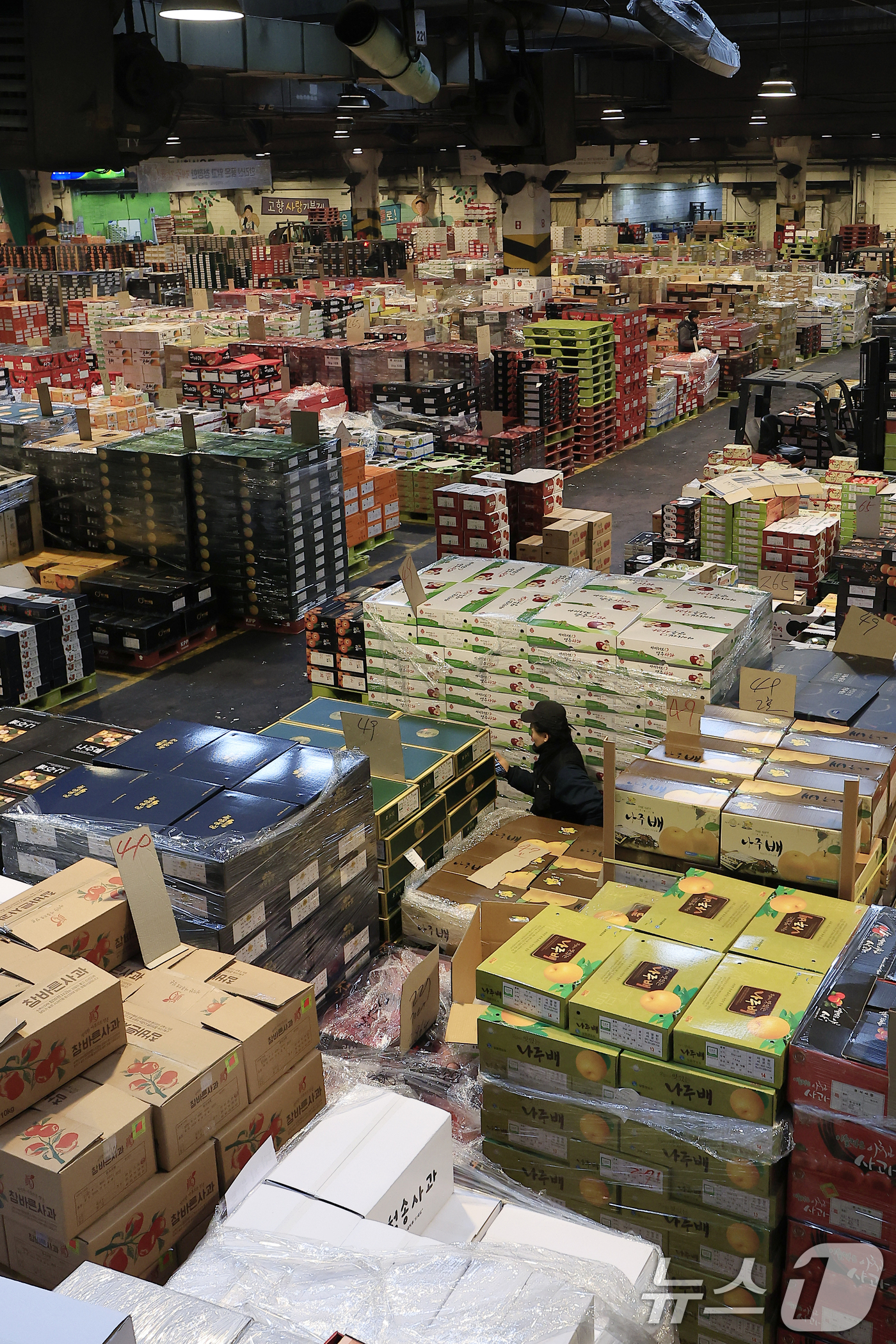 (서울=뉴스1) 박정호 기자 = 설 명절을 앞둔 11일 오후 서울시 송파구 가락동 가락농수산물종합도매시장 내 농협가락공판장 경매장에서 직원들이 전국에서 올라온 과일을 점검하고 옮기 …