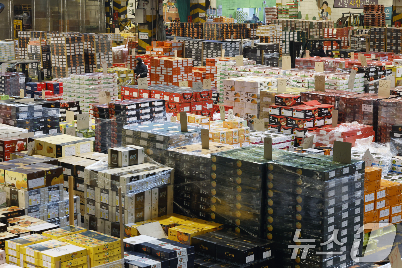 (서울=뉴스1) 박정호 기자 = 설 명절을 앞둔 11일 오후 서울시 송파구 가락동 가락농수산물종합도매시장 내 농협가락공판장 경매장에서 직원들이 전국에서 올라온 과일을 점검하고 옮기 …