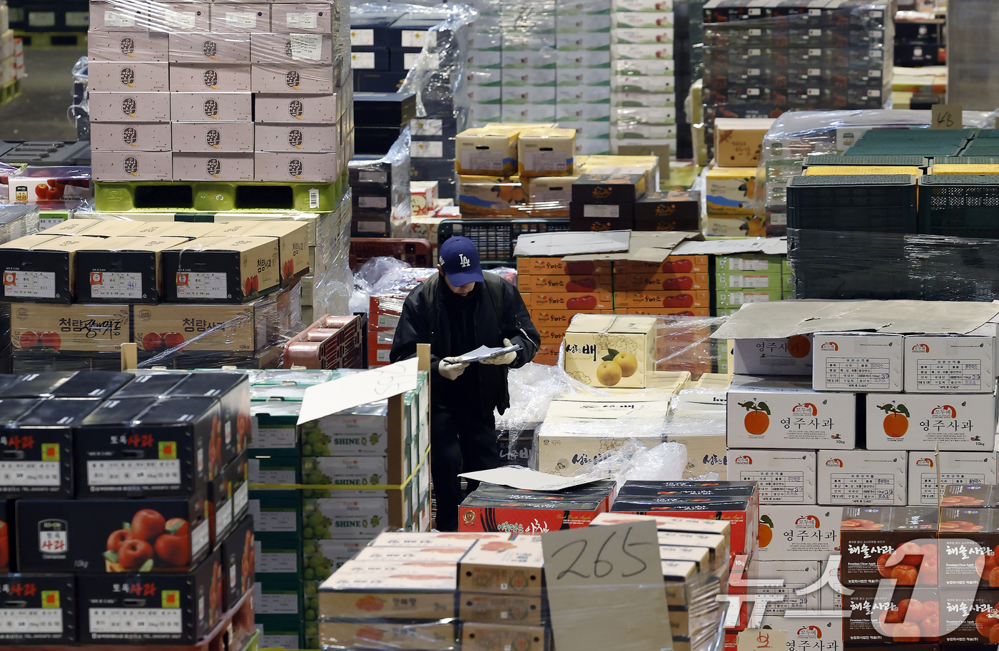(서울=뉴스1) 박정호 기자 = 설 명절을 앞둔 11일 오후 서울시 송파구 가락동 가락농수산물종합도매시장 내 농협가락공판장 경매장에서 직원들이 전국에서 올라온 과일을 점검하고 옮기 …