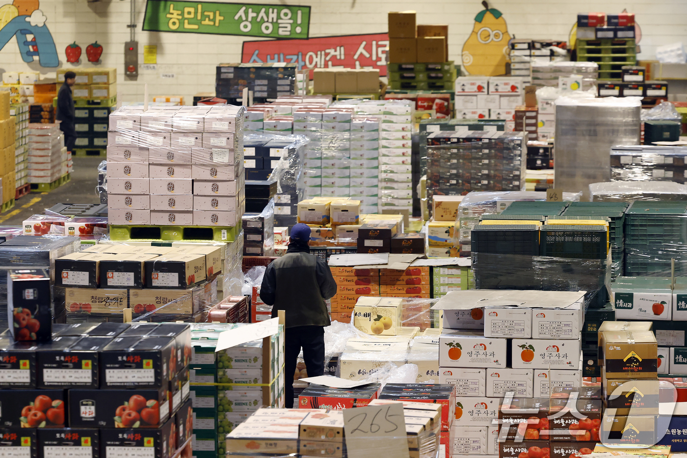 (서울=뉴스1) 박정호 기자 = 설 명절을 앞둔 11일 오후 서울시 송파구 가락동 가락농수산물종합도매시장 내 농협가락공판장 경매장에서 직원들이 전국에서 올라온 과일을 점검하고 옮기 …
