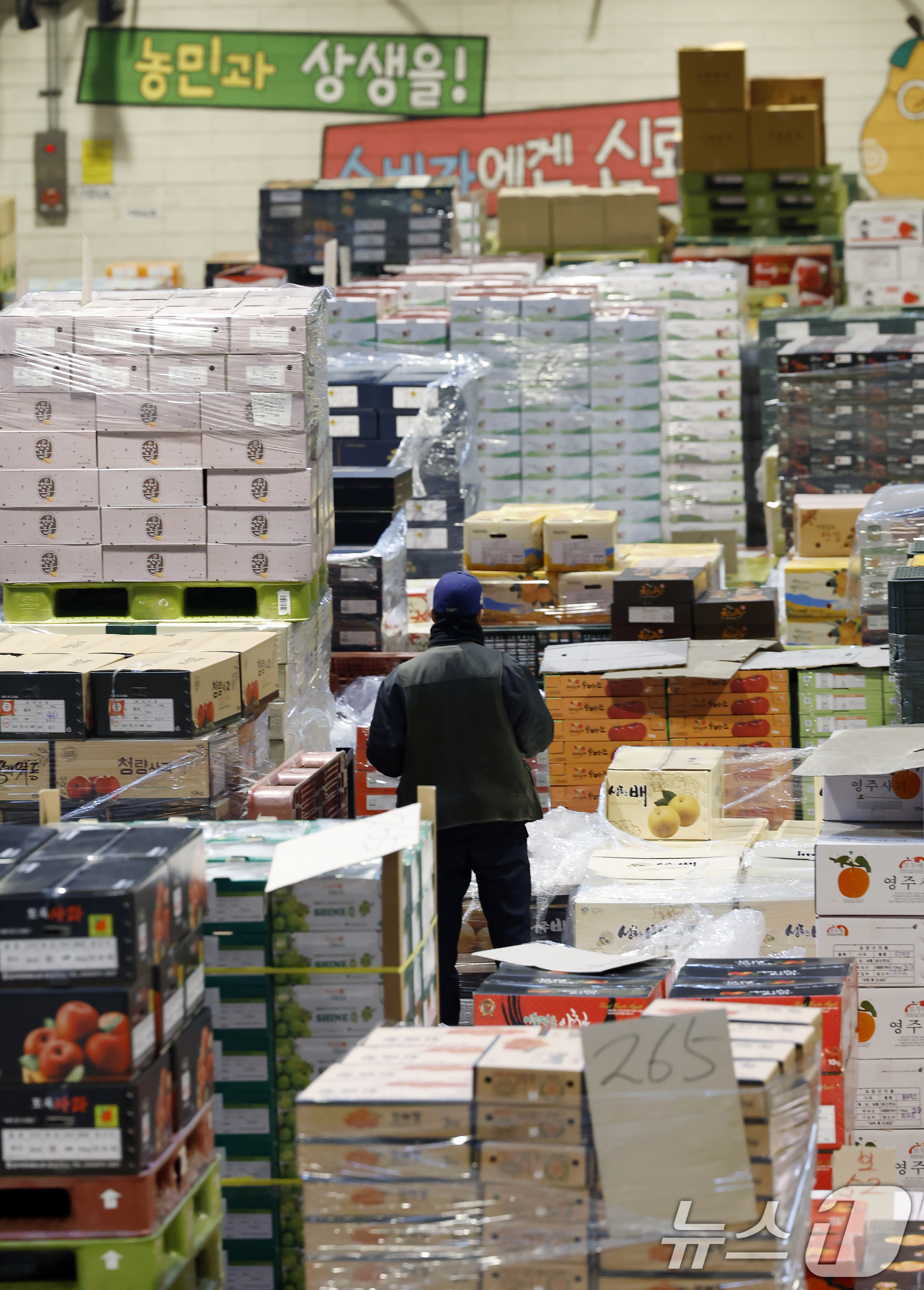 (서울=뉴스1) 박정호 기자 = 설 명절을 앞둔 11일 오후 서울시 송파구 가락동 가락농수산물종합도매시장 내 농협가락공판장 경매장에서 직원들이 전국에서 올라온 과일을 점검하고 옮기 …