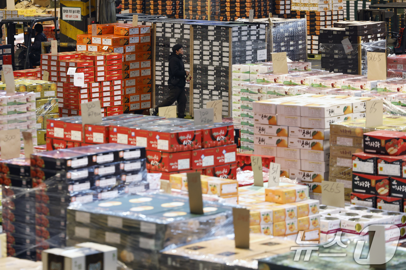 (서울=뉴스1) 박정호 기자 = 설 명절을 앞둔 11일 오후 서울시 송파구 가락동 가락농수산물종합도매시장 내 농협가락공판장 경매장에서 직원들이 전국에서 올라온 과일을 점검하고 옮기 …