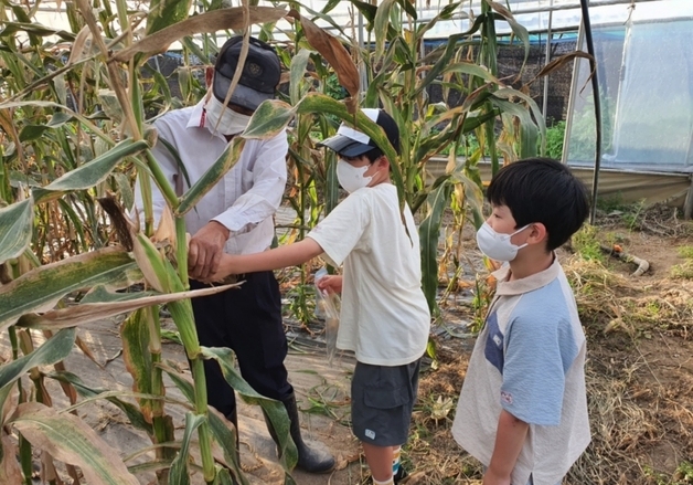 "도심 근교 텃밭서 힐링"…대구농협 주말농장 6곳 분양