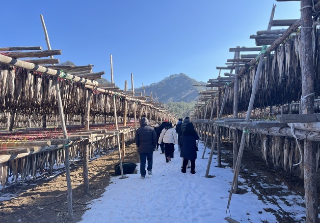 '머무는 관광' 시대 연다…인제군, '지역단위 농촌관광사업' 선정
