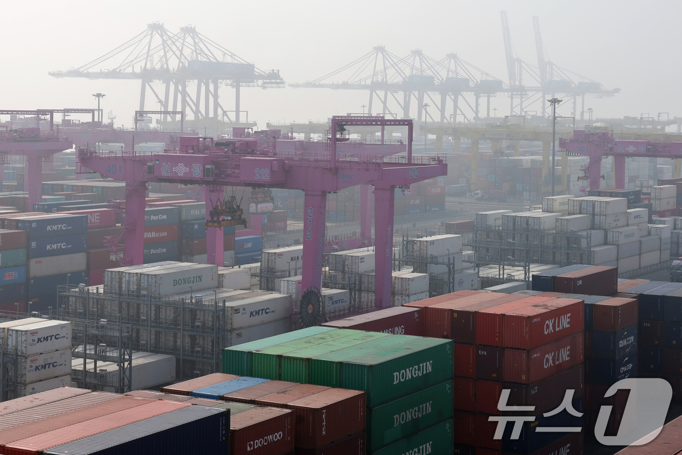 (인천=뉴스1) 황기선 기자 = 지난 1월 기준으로 8개월 연속 계속된 수출 증가세가 이달 10일까지 이어지고 있다.11일 관세청에 따르면 이달 1~10일 수출은 전년동기대비 44 …