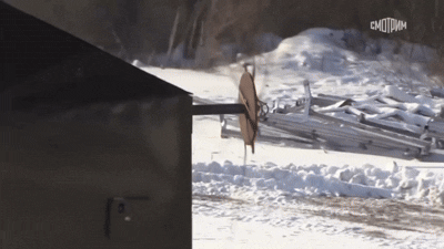 예초기 모양 회전 케이블 '빙그르르'…러, 드론 공포에 별별 발명