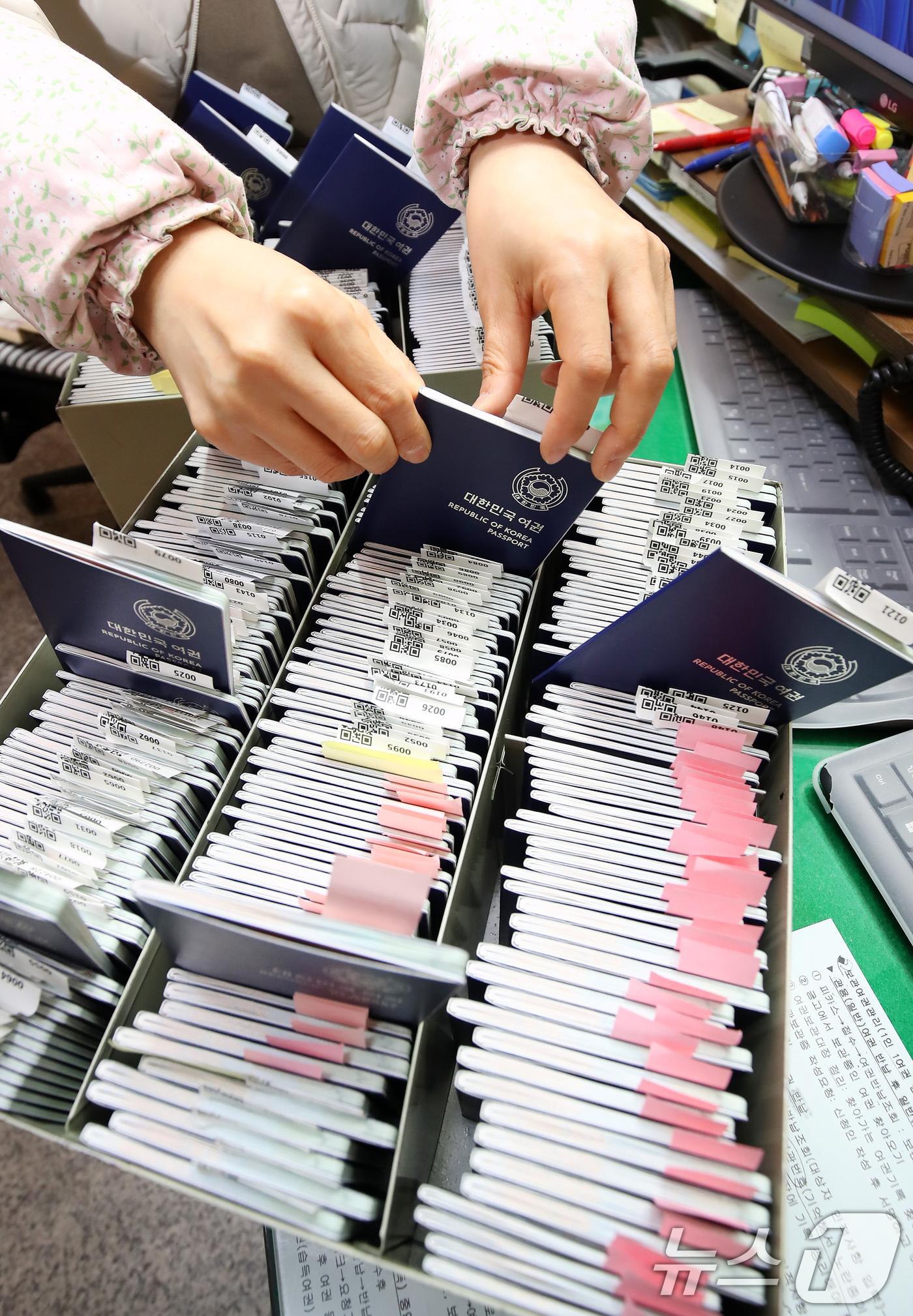 (대구=뉴스1) 공정식 기자 = 설 연휴를 앞두고 여권 발급 신청이 늘고 있다. 11일 오후 대구 달서구청 민원실 여권 교부처에서 담당 직원이 신규 발급된 여권을 정리하고 있다. …