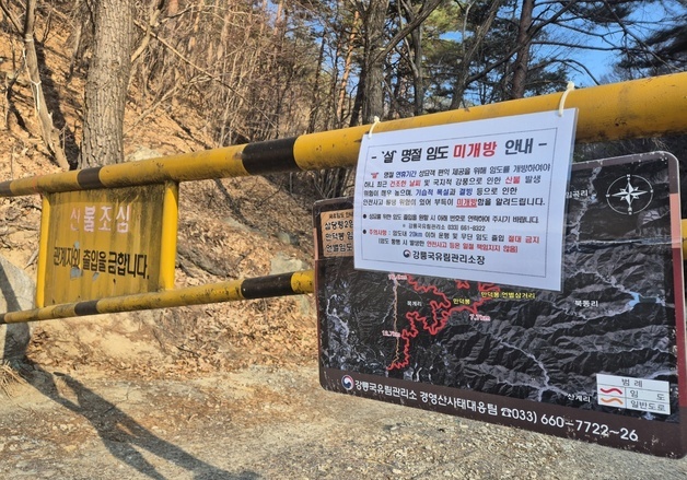 "조상님, 올해는 못 갑니다"…바싹 마른 겨울에 막힌 강릉 성묘길