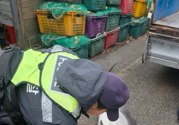 동해 전천항 인근 해상 참돌고래 혼획…"불법포획 정황 없어"