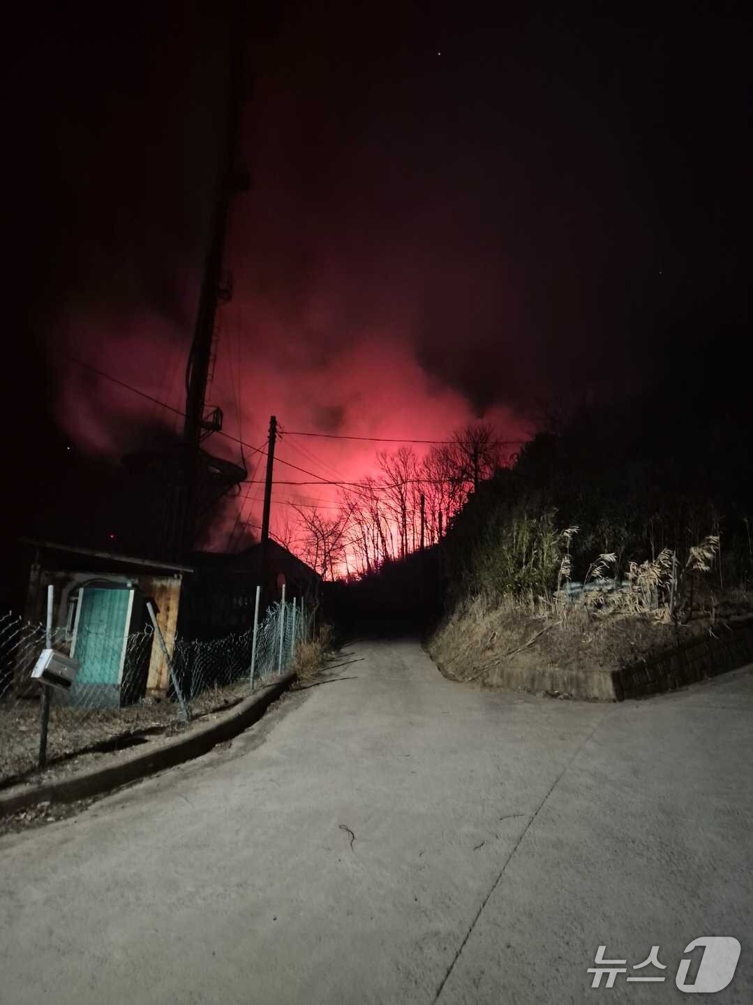 본문 이미지 - 12일 새벽 강원 양양군 양양읍 화일리 산불 현장.(강원도산불방지대책본부 제공, 재판매 및 DB 금지) 2026.2.12/뉴스1
