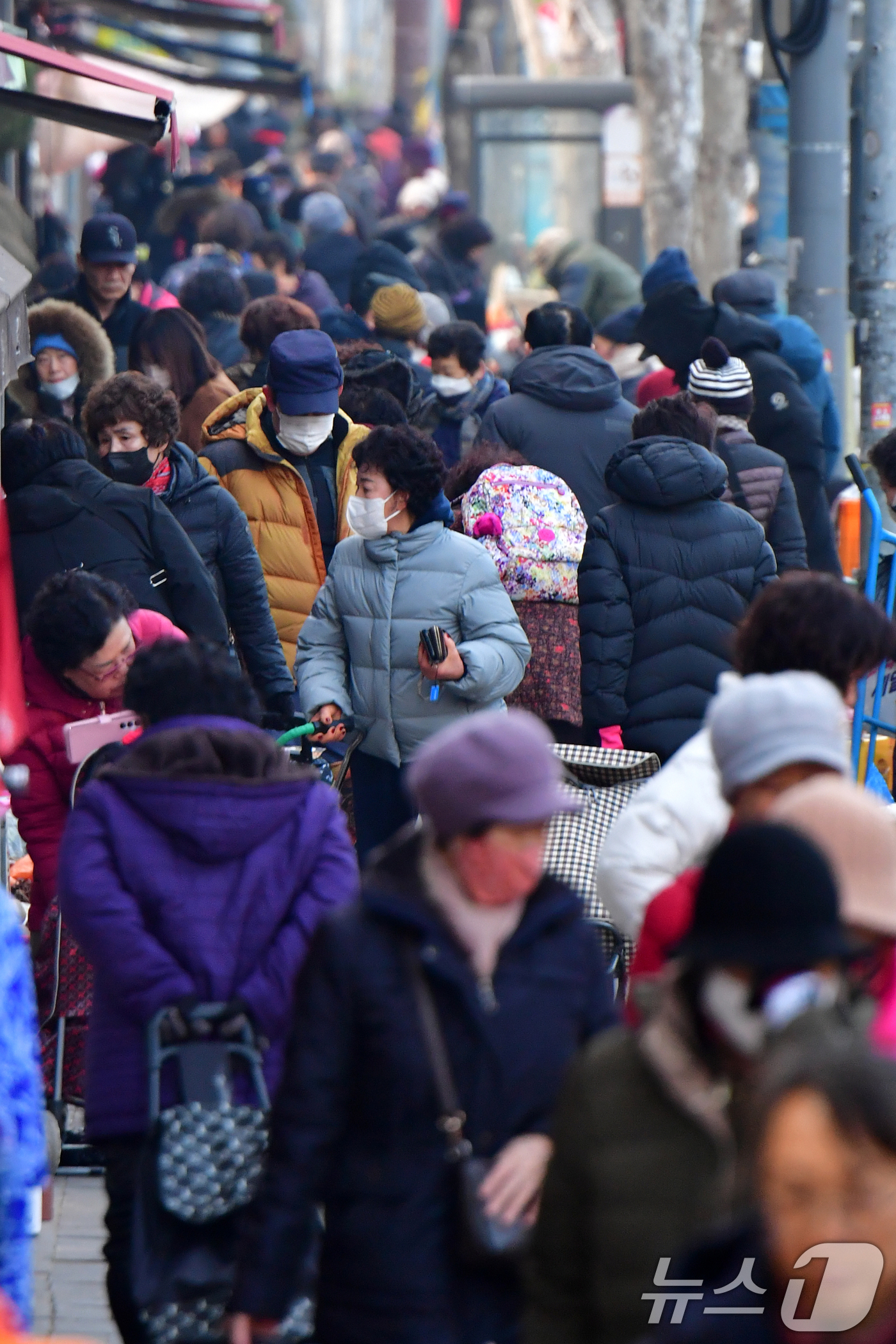 (포항=뉴스1) 최창호 기자 = 설 명절을 앞둔 12일 오전 경북 포항시 죽도시장 곳곳이 제수용품을 구입을 위해 나온 시민들로 붐비고 있다. 2026.2.12/뉴스1