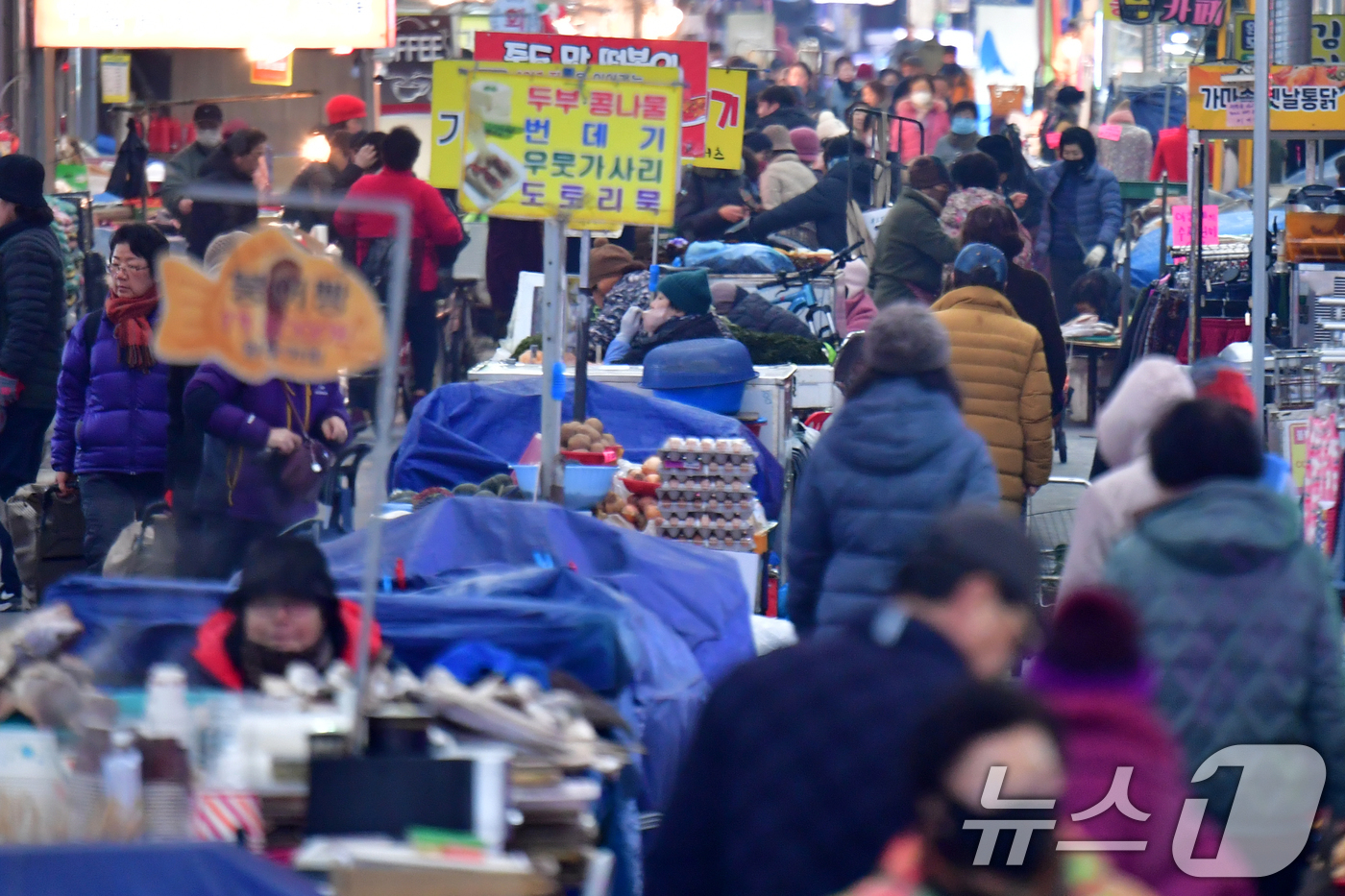 (포항=뉴스1) 최창호 기자 = 설 명절을 앞둔 12일 오전 경북 포항시 죽도시장 곳곳이 제수용품을 구입을 위해 나온 시민들로 붐비고 있다.  2026.2.12/뉴스1