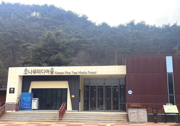 보은군, 체험형 미디어아트 '소나무 미디어숲' 개관…설 연휴 운영