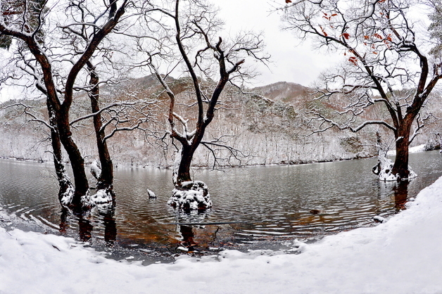 빽빽한 일정 'NO'·머무는 시간 '중요'…힐링형 관광지 경북 청송 어때?