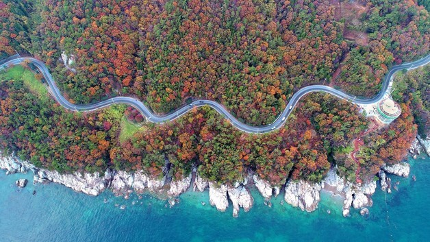 남해군 방문객 수도권 거주자 가장 많아…가족 단위가 절반 이상