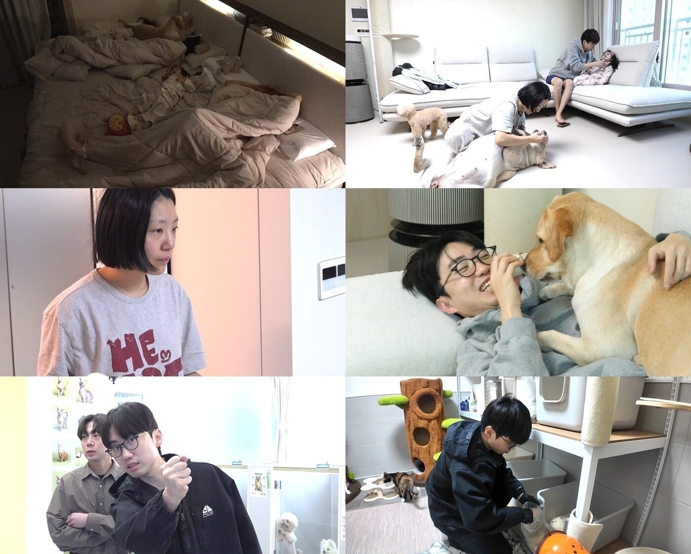 본문 이미지 - MBC