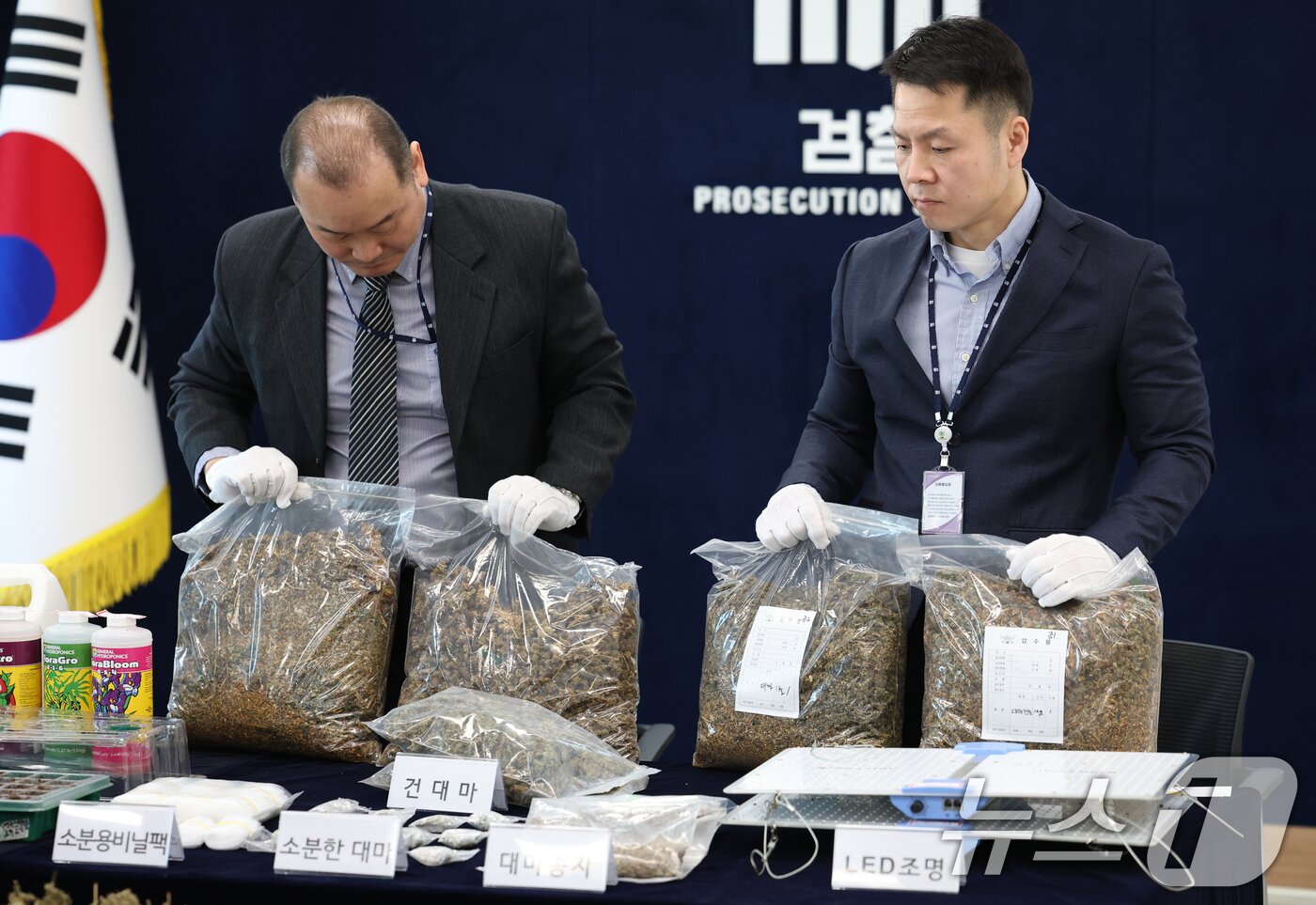 본문 이미지 - 12일 경기 수원시 영통구 수원지방검찰청 브리핑룸에서 열린 마약범죄 정부합동수사본부의 대마 재배시설 적발 관련 브리핑에 앞서 수사관들이 건조 대마 및 대마 재배시설 등 압수품을 공개하고 있다. 2026.2.12 ⓒ 뉴스1 김영운 기자