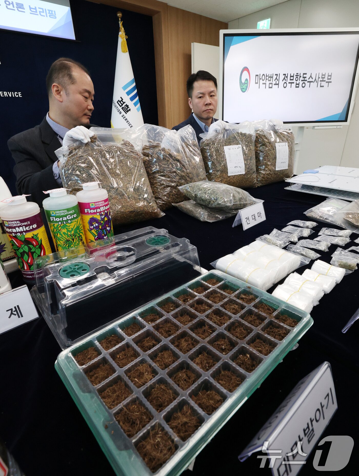 본문 이미지 - 12일 경기 수원시 영통구 수원지방검찰청 브리핑룸에서 열린 마약범죄 정부합동수사본부의 대마 재배시설 적발 관련 브리핑에 앞서 수사관들이 건조 대마 및 대마 재배시설 등 압수품을 공개하고 있다. 2026.2.12 ⓒ 뉴스1 김영운 기자