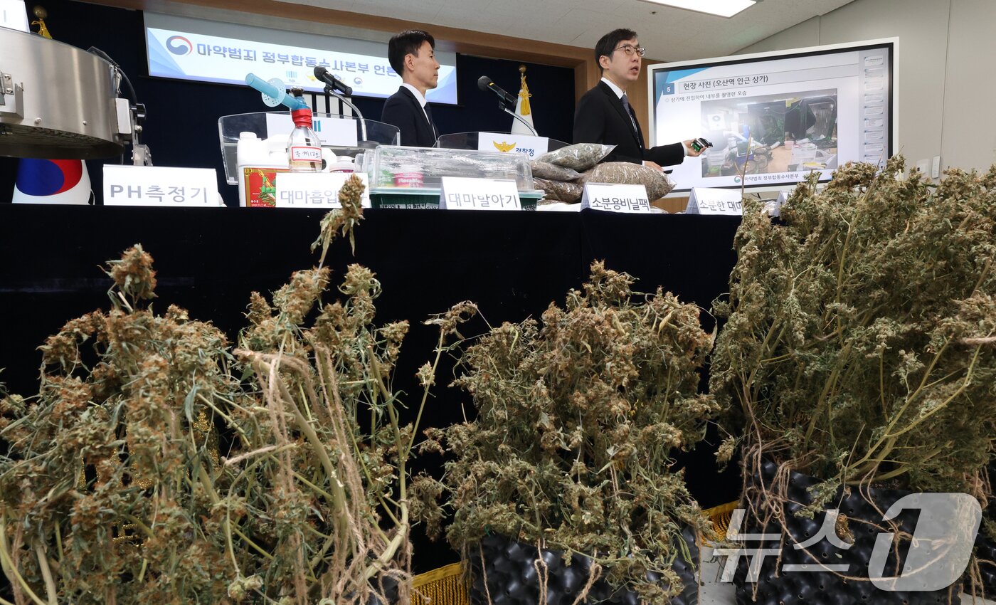 본문 이미지 - 신준호 마약범죄 정부합동수사본부 1부본부장이 12일 경기 수원시 영통구 수원지방검찰청 브리핑룸에서 마약범죄 정부합동수사본부의 대마 재배시설 적발 관련 브리핑이 하고 있다. 2026.2.12 ⓒ 뉴스1 김영운 기자