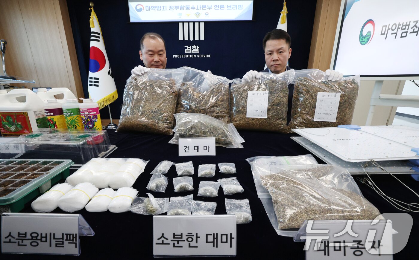 본문 이미지 - 12일 경기 수원시 영통구 수원지방검찰청 브리핑룸에서 열린 마약범죄 정부합동수사본부의 대마 재배시설 적발 관련 브리핑에 앞서 수사관들이 건조 대마 및 대마 재배시설 등 압수품을 공개하고 있다. 2026.2.12 ⓒ 뉴스1 김영운 기자