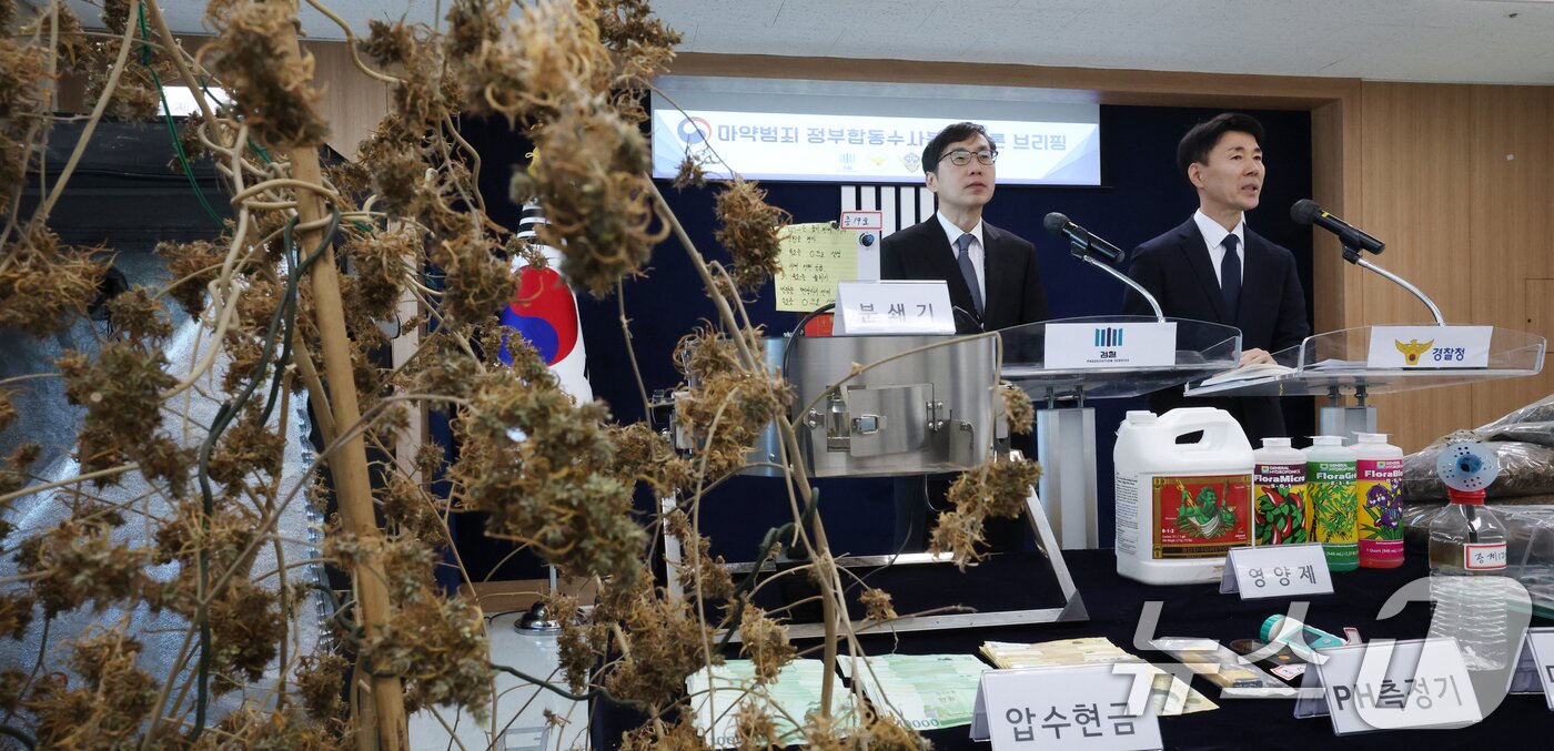 본문 이미지 - 신준호 마약범죄 정부합동수사본부 1부본부장이 12일 경기 수원시 영통구 수원지방검찰청 브리핑룸에서 마약범죄 정부합동수사본부의 대마 재배시설 적발 관련 브리핑이 하고 있다. 2026.2.12 ⓒ 뉴스1 김영운 기자