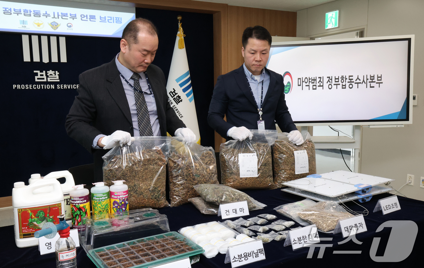 (수원=뉴스1) 김영운 기자 = 12일 경기 수원시 영통구 수원지방검찰청 브리핑룸에서 열린 마약범죄 정부합동수사본부의 대마 재배시설 적발 관련 브리핑에 앞서 수사관들이 건조 대마 …