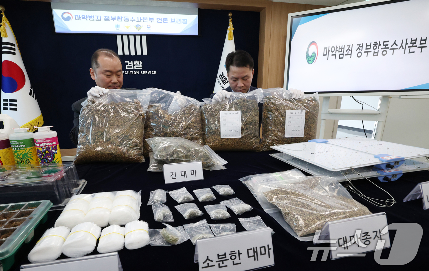 (수원=뉴스1) 김영운 기자 = 12일 경기 수원시 영통구 수원지방검찰청 브리핑룸에서 열린 마약범죄 정부합동수사본부의 대마 재배시설 적발 관련 브리핑에 앞서 수사관들이 건조 대마 …