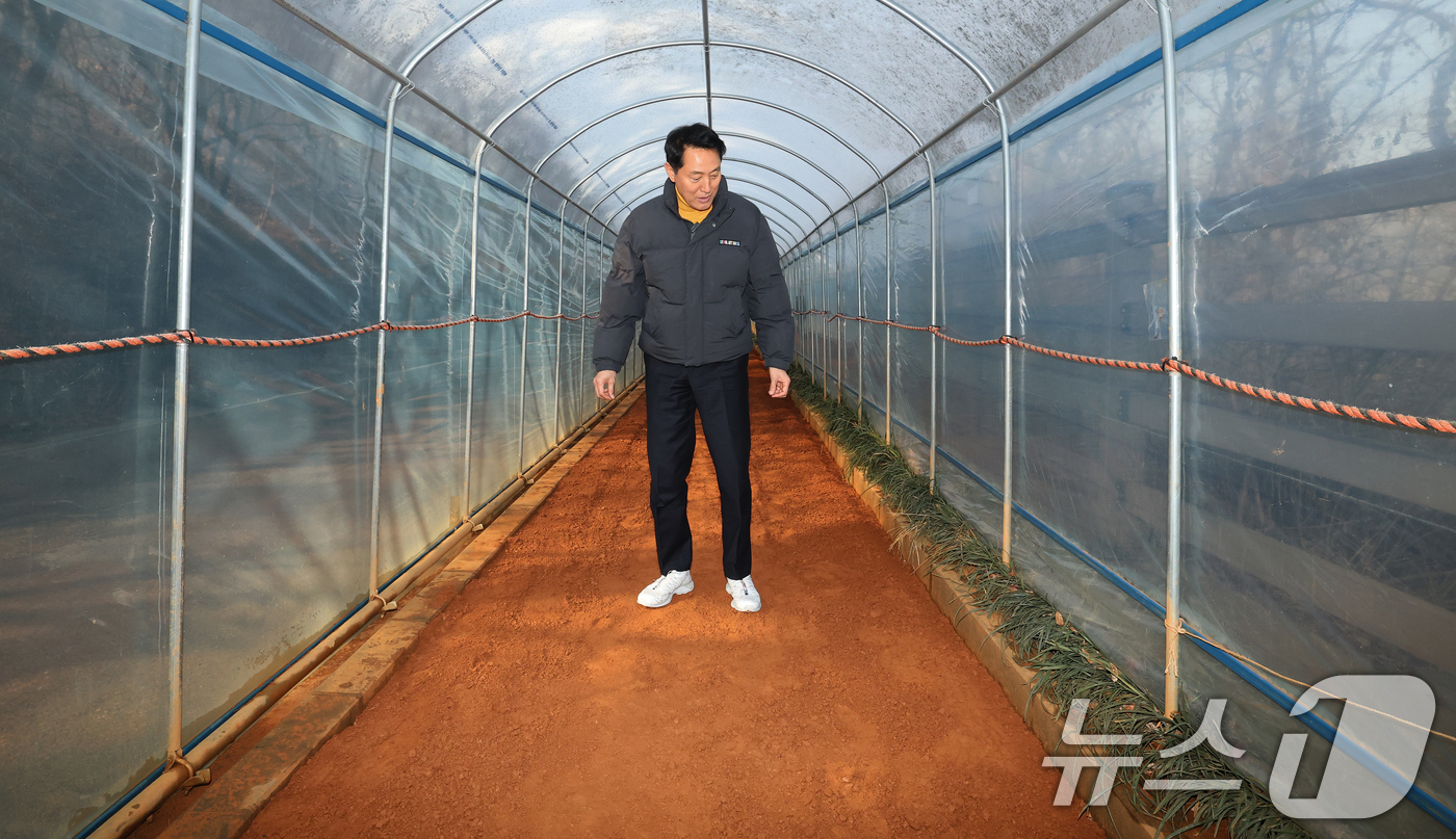 (서울=뉴스1) 오대일 기자 = 오세훈 서울시장이 12일 서울 서대문구 영천동 고지대 이동약자 편의시설 설치 대상지를 찾아 현장을 둘러본 후 맨발 걷기 성지로 부상한 안산 황톳길을 …