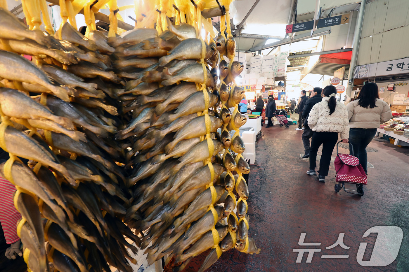 (광주=뉴스1) 박지현 기자 = 설 명절 연휴를 이틀 앞둔 12일 오전 광주 서구 양동시장에 굴비가 걸려있는 가운데 시민들의 장을 보려는 발걸음이 이어지고 있다. 2026.2.12 …