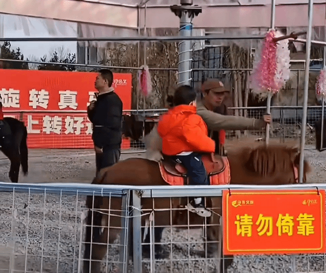 빙빙 도는 회전목마, 자세히 보니 진짜 말…中서 동물학대 논란
