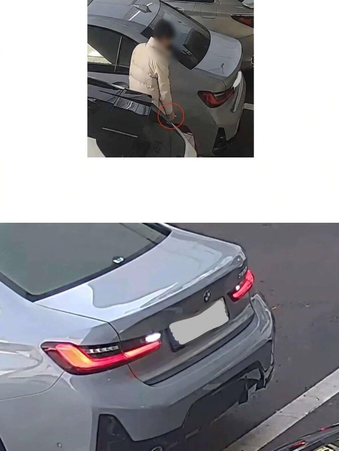 본문 이미지 - 보배드림