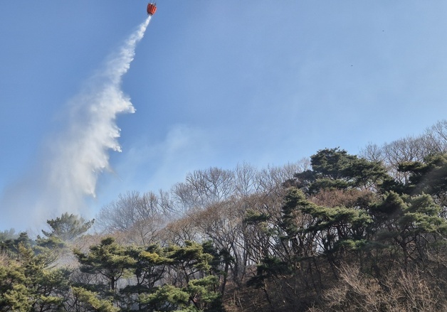 창원 병천소류지 인근 야산서 불…1시간 만에 초진