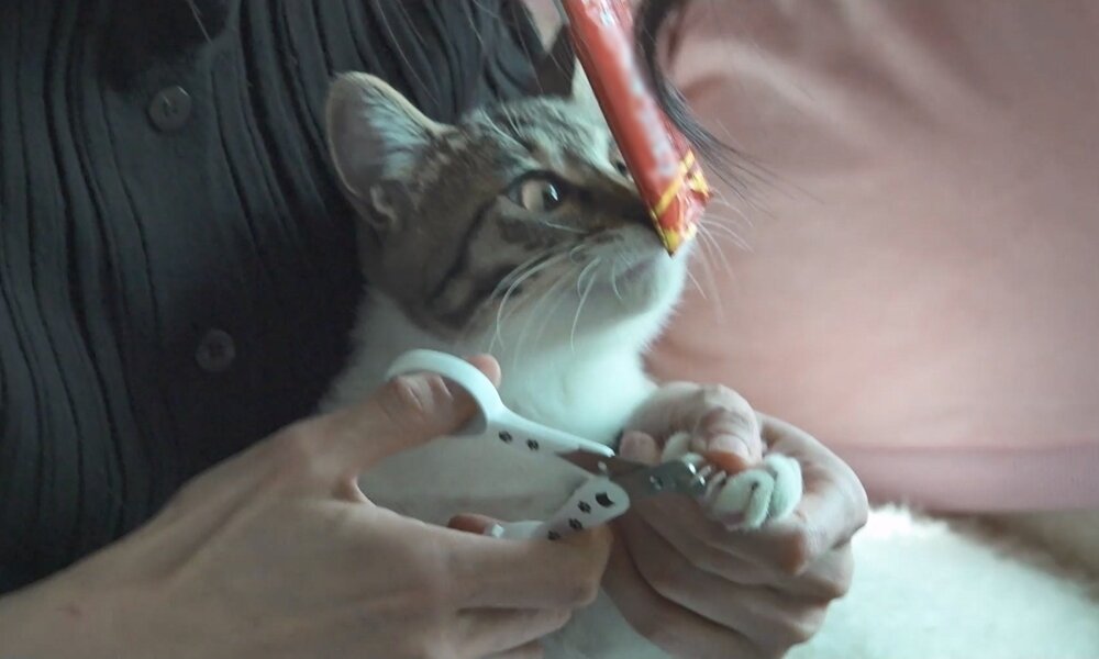 본문 이미지 - MBC