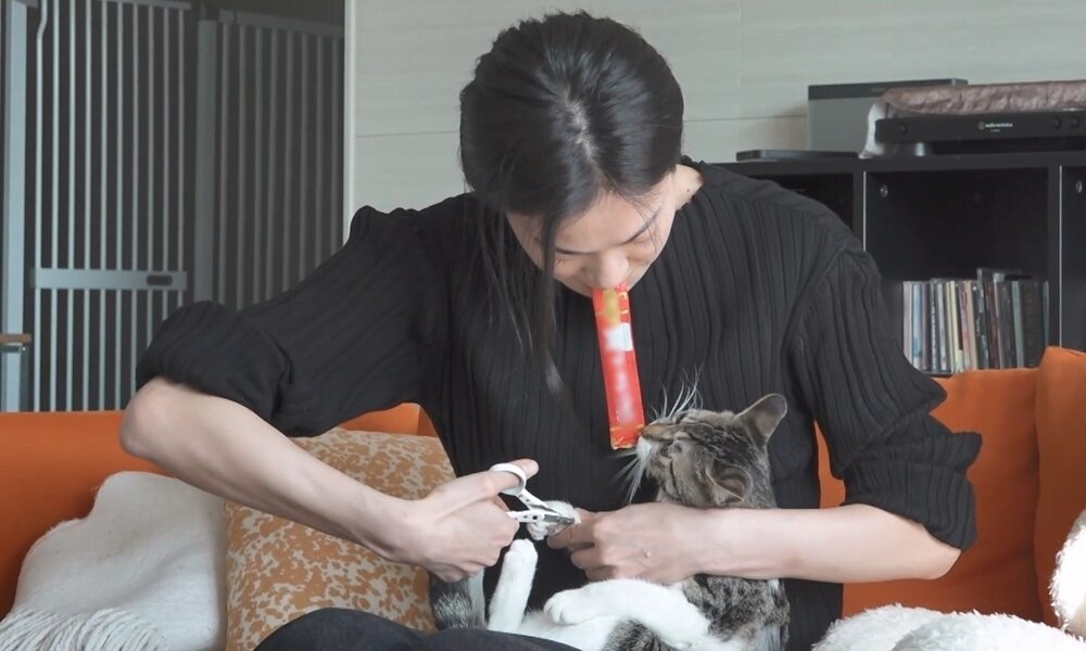 본문 이미지 - MBC