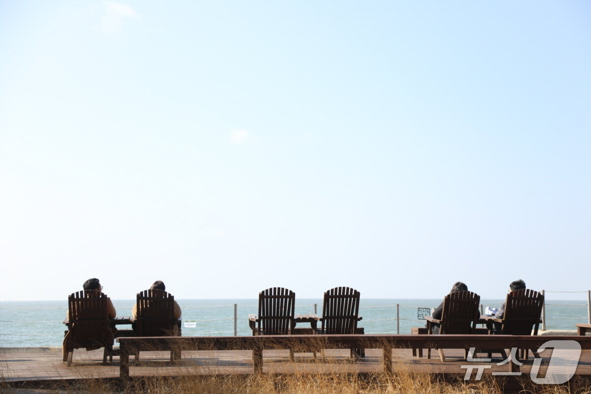 본문 이미지 - 탐방객이 천리포수목원 서해전망대에서 바다를 즐기고 있다.(천리포수목원 제공. 재판매 및 DB금지)2026.2.12/뉴스1