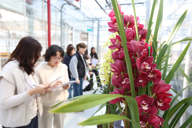 [오늘의 날씨]전북(20일, 금)…낮과 밤 기온차 커, 건강관리 유의