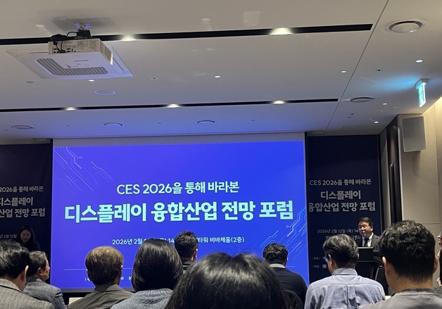 "디스플레이, AI·융합 플랫폼으로 진화…산업 간 연계, 생존 열쇠"